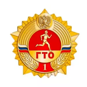 Готов к труду и обороне