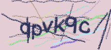 Проверочный код